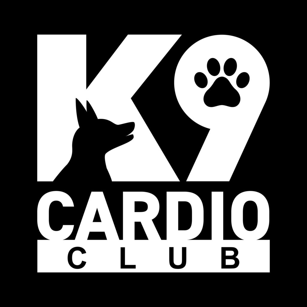 Khám Phá Https K9Cc.Tech Nền Tảng Công Nghệ Hiện Đại