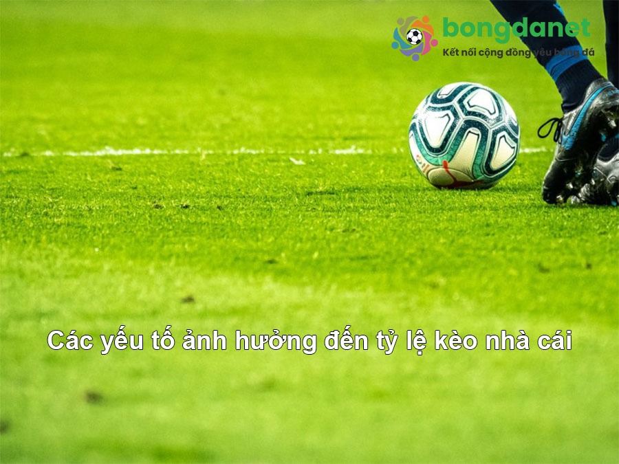 Bán Nhà Giá Rẻ Tphcm Sân Chơi Nổi Bật Trong Thế Giới Cá Cược Thể Thao Trực Tuyến Mới Mẻ Và Uy Tín