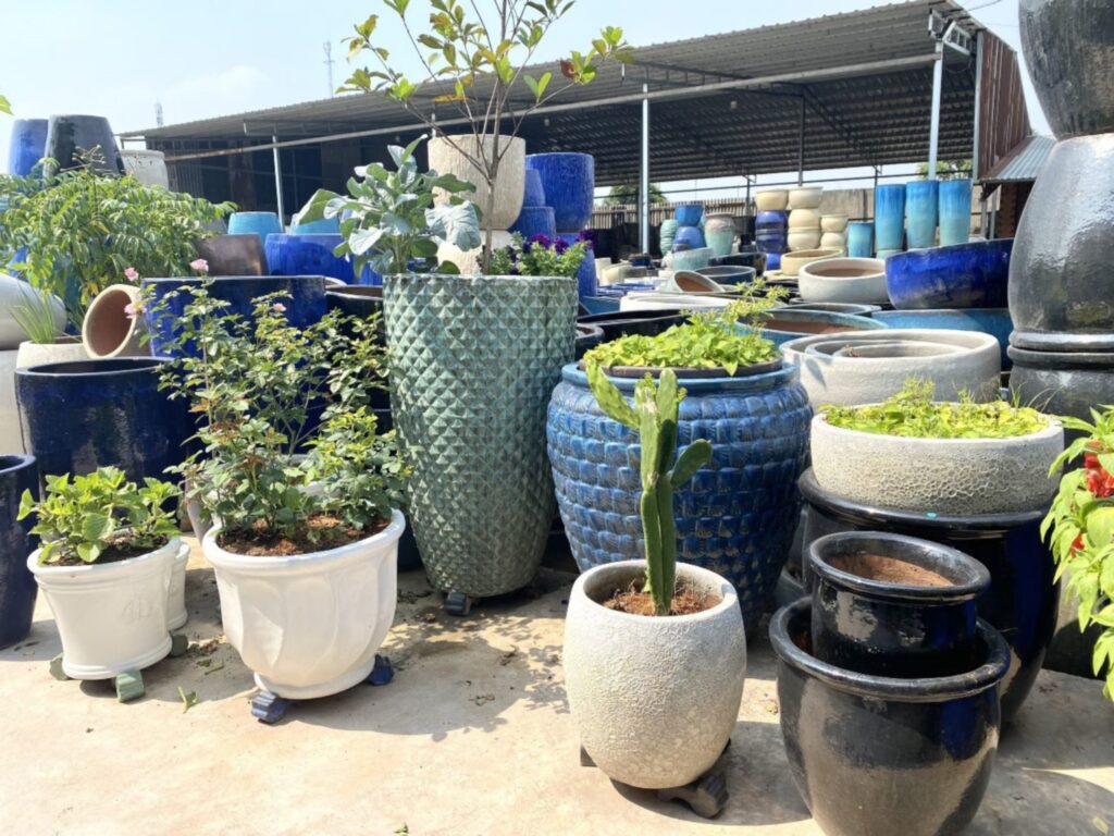 555Win – Khám Phá Thế Giới Giải Trí Đỉnh Cao Tại Https 555Win.Eu.Com