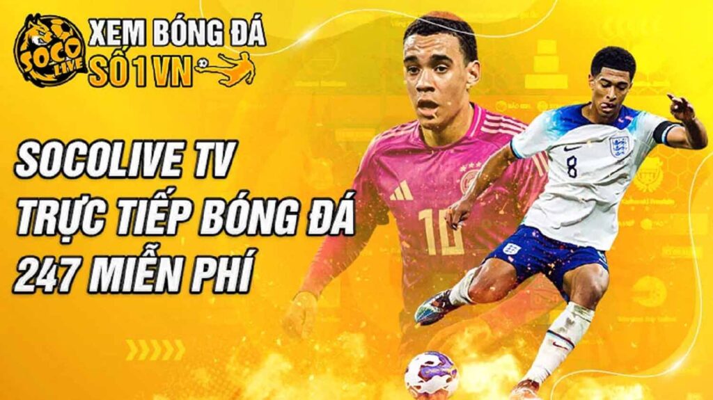 Bds Đất Xanh Khám Phá Trải Nghiệm Đỉnh Cao Của Làng Bình Luận Thể Thao Trực Tuyến