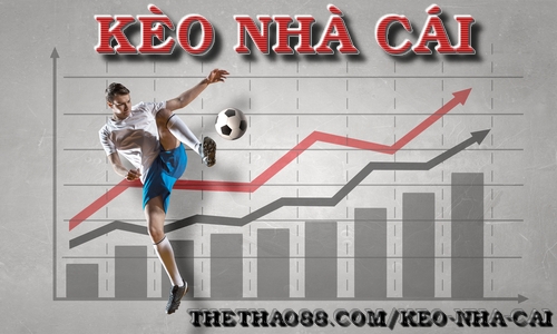 Đất Hoà Xuân Đà Nẵng Phân Tích Chuyên Sâu & Mẹo Cá Cược